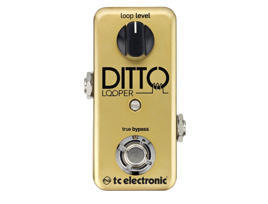 TC Electronic Ditto Looper Guitar Effects Pedal Limited Gold Edition