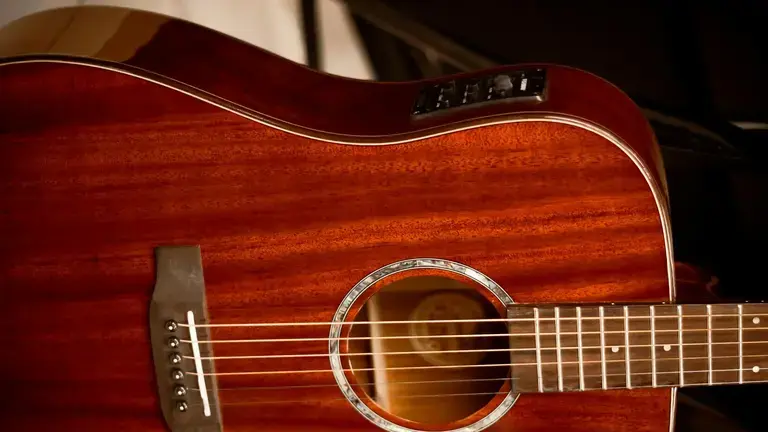 Acoustic Guitar Electronics