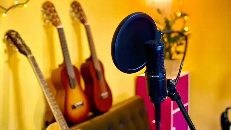 Mic and guitars