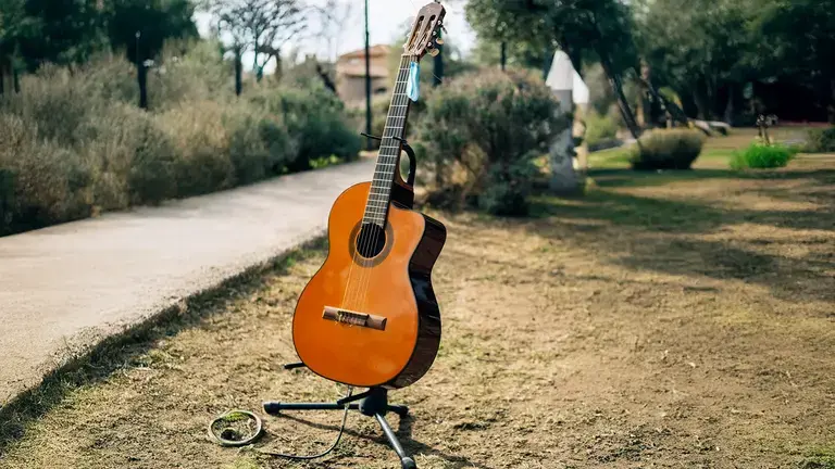 Guitar on stand in a field