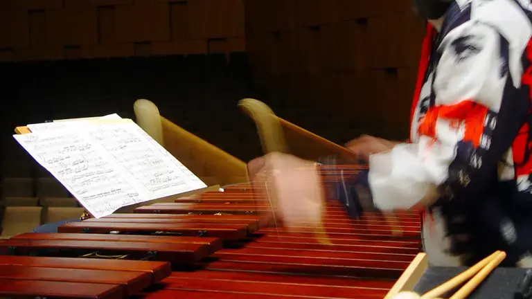 Marimba player