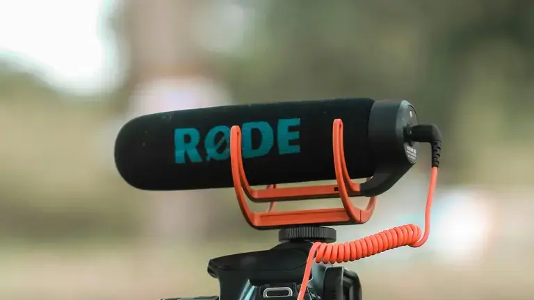 Shotgun mic