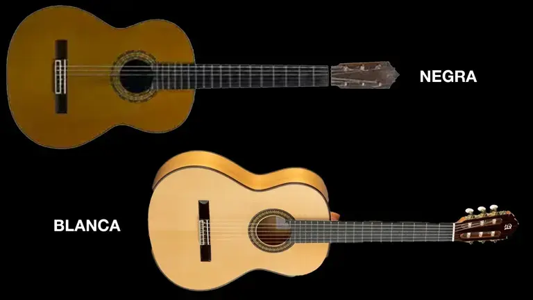 Flamenco negra and blanca