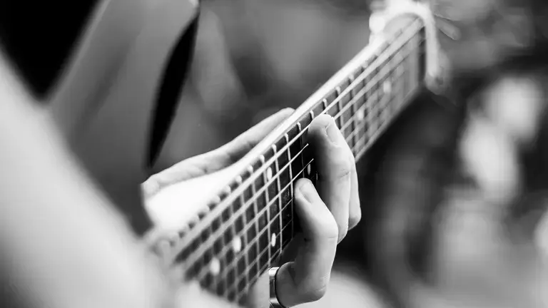 Guitar Neck