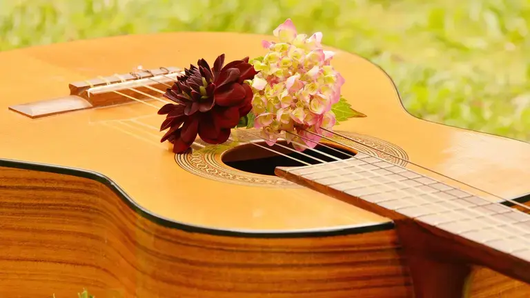 Nylon Guitar