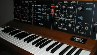 Moog Model D