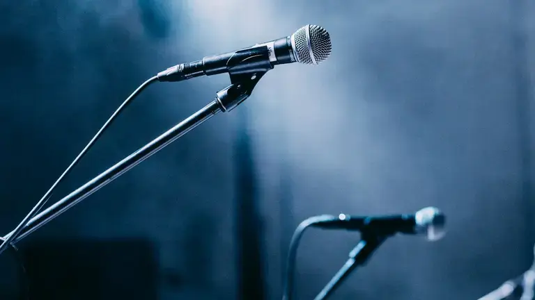 Dynamic Mic