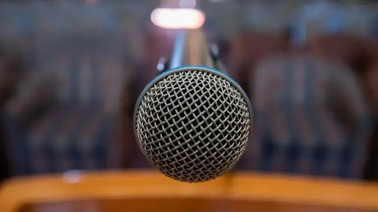 Dynamic Mic