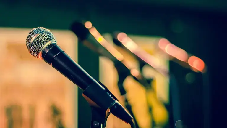 Multiples mics