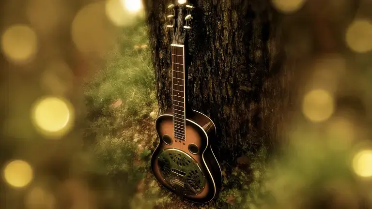 Resonator guitar
