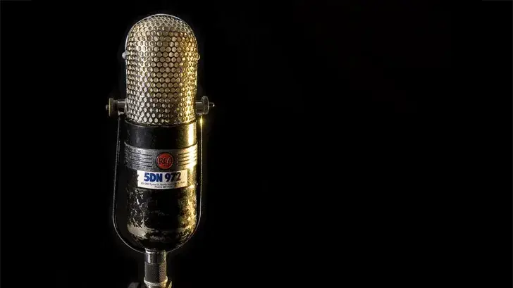 Best Ribbon Microphones 2026: Studio Recording Essentials | Equipboard