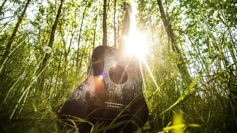 A Guitar In The Sun