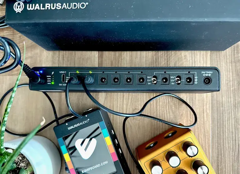 Walrus Canvas Power 8 outputs