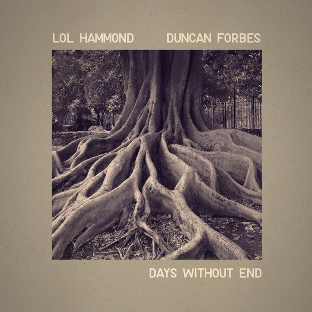 Days Without End album cover