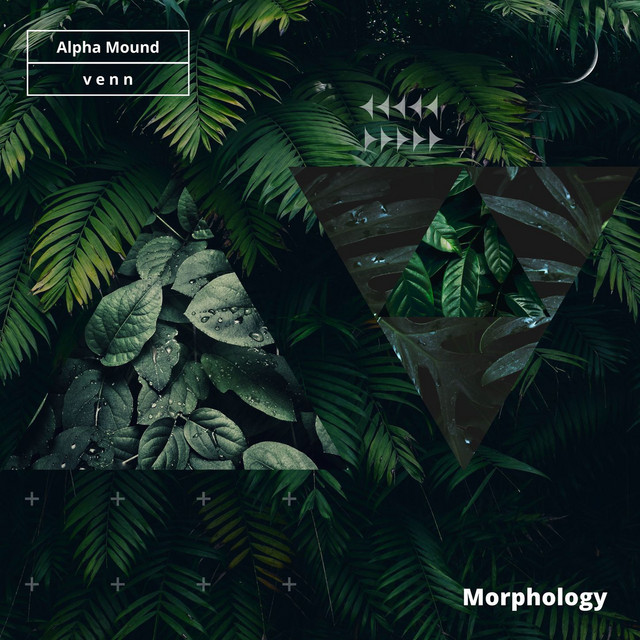 Morphology album cover