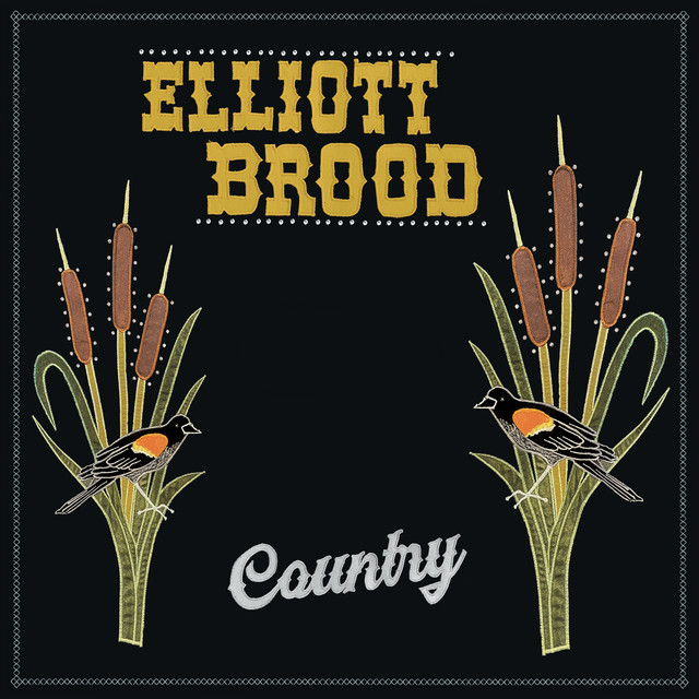 Country album cover