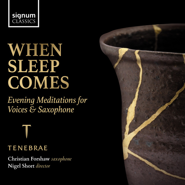When Sleep Comes: Evening Meditations for Voices & Saxophone album cover