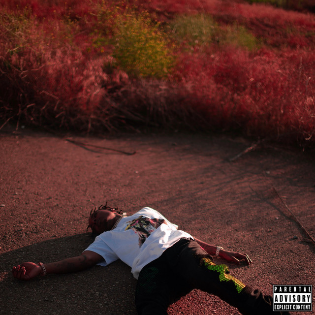 Blood On The Hills album cover