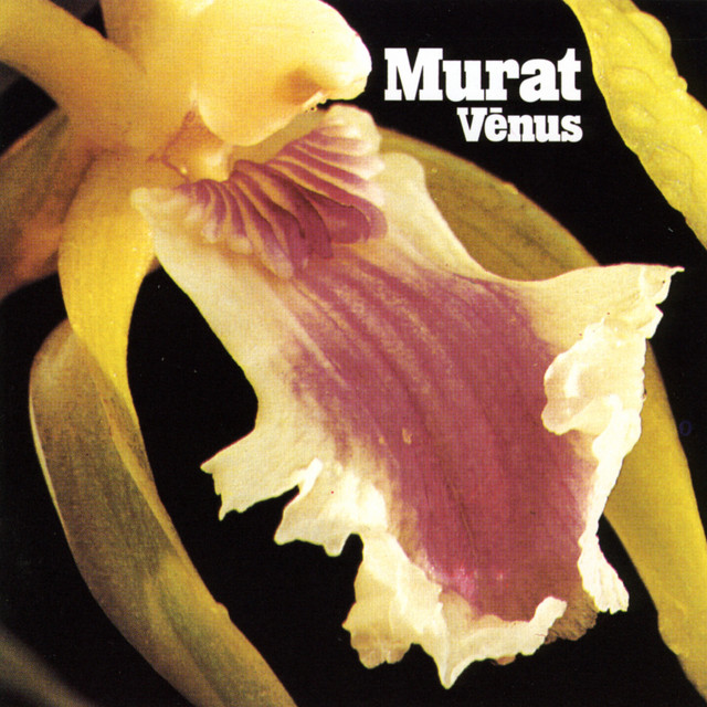 Venus album cover