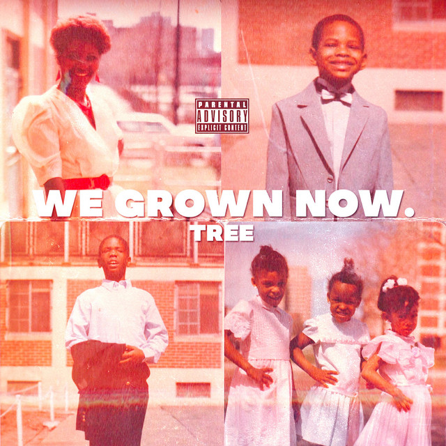 WE Grown NOW. album cover