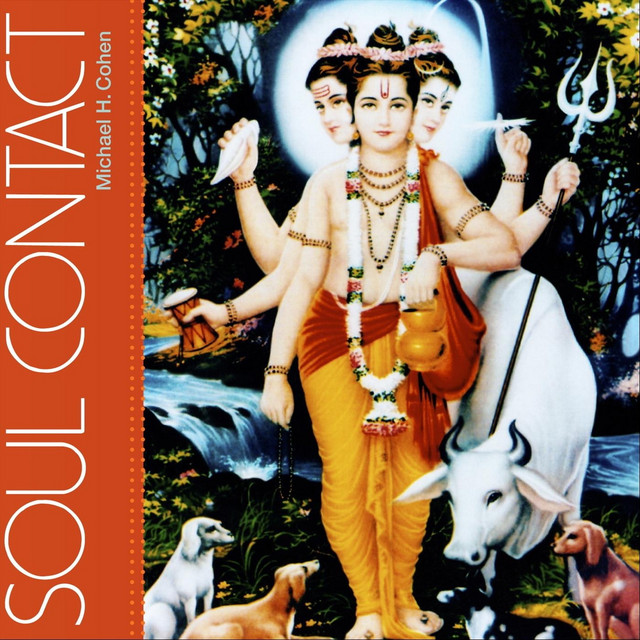 Soul Contact album cover