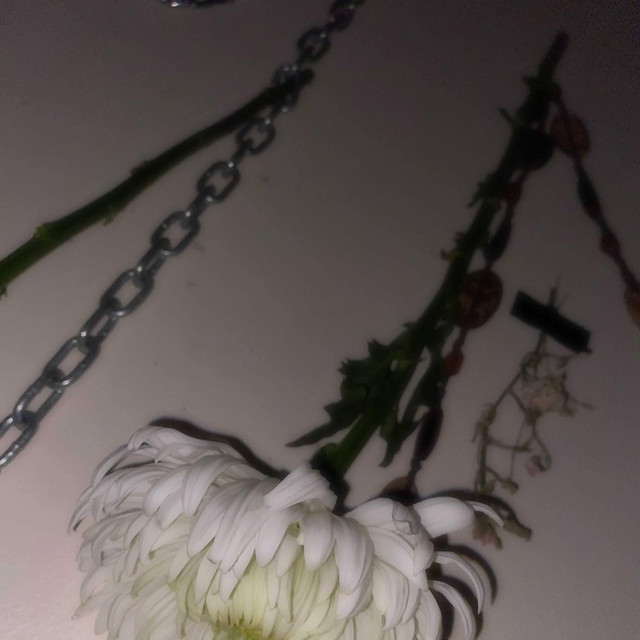 Altar album cover