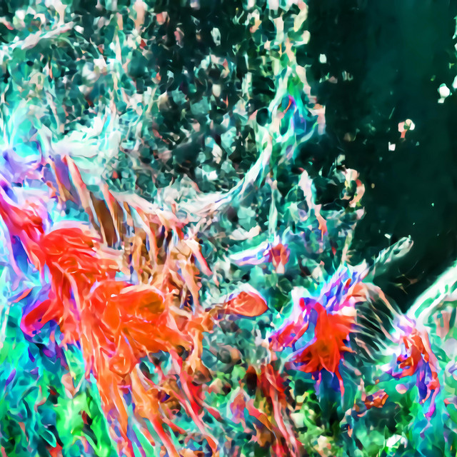 neotropic