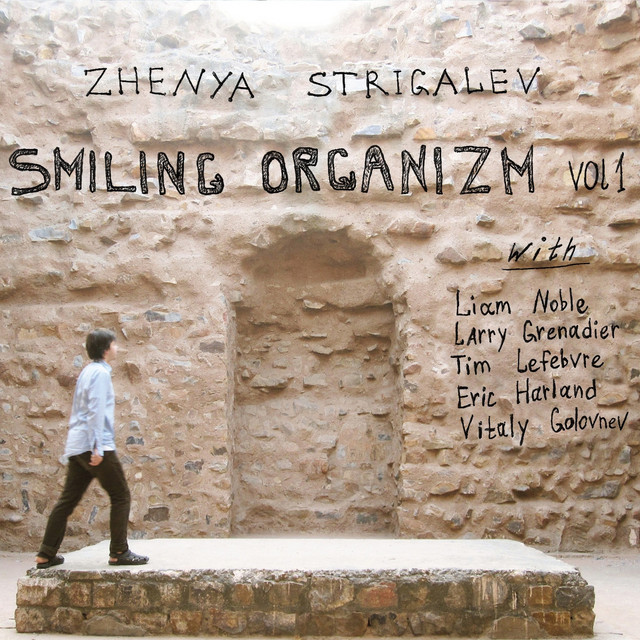 Smiling Organizm, Vol. 1 album cover