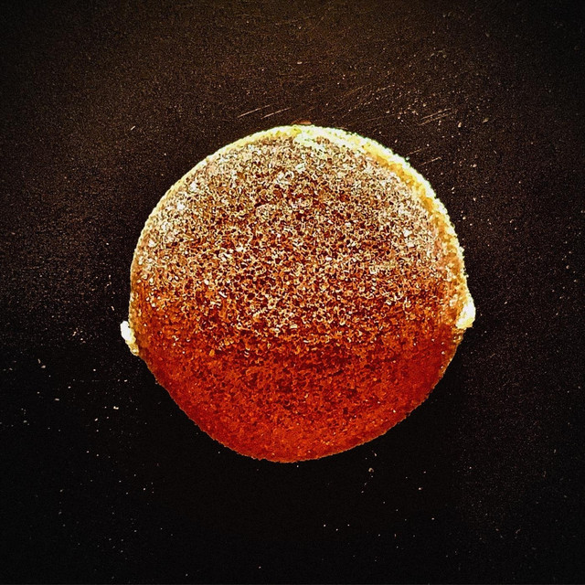 The Golden Dogs album cover