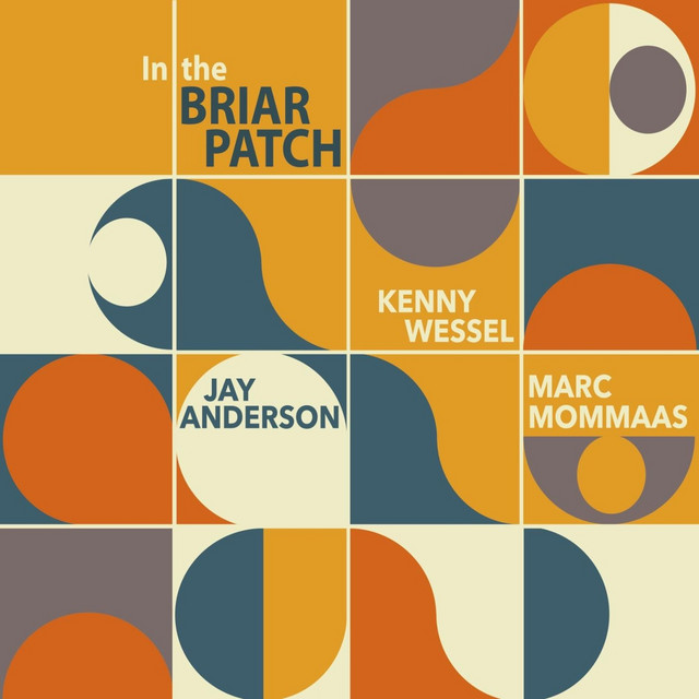 In the Briar Patch album cover