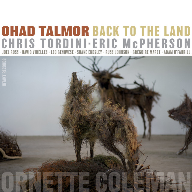 Back To The Land album cover