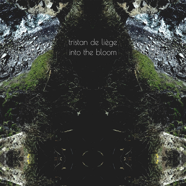 Into the Bloom album cover