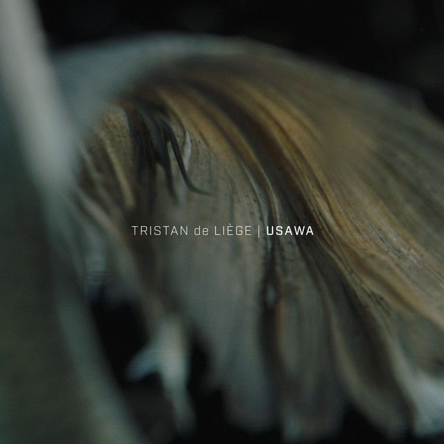 Usawa album cover