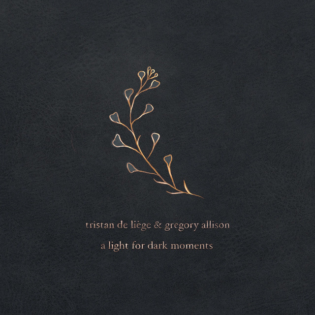 A Light For Dark Moments album cover