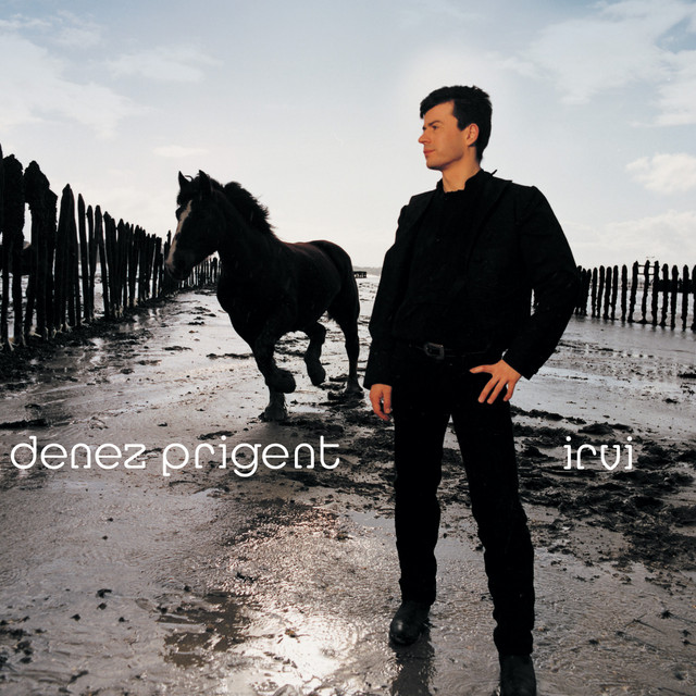 Irvi album cover