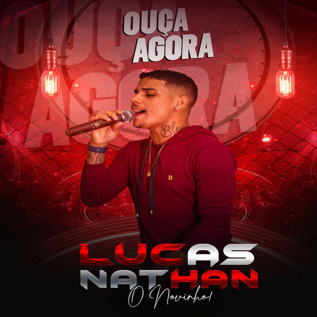 O Novinho album cover