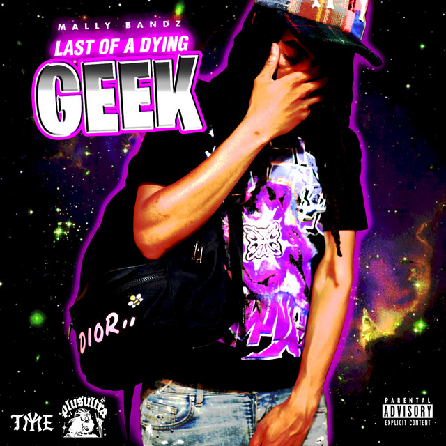Last Of A Dying Geek album cover