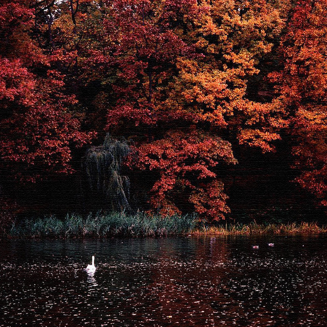 Autumn Hues album cover