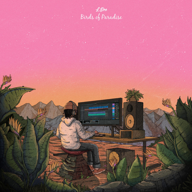 Birds of Paradise album cover