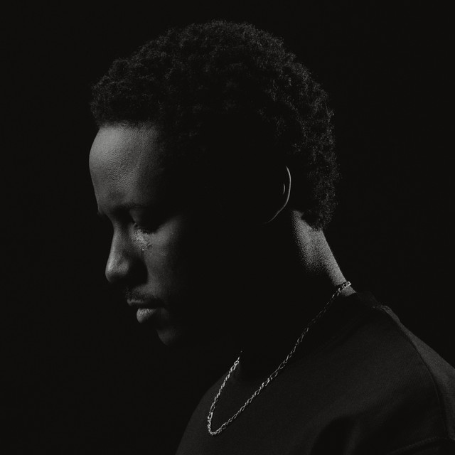 The Rain album cover