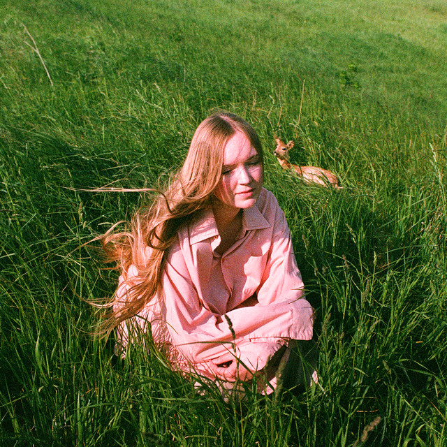 Stay Here Where It's Warm album cover