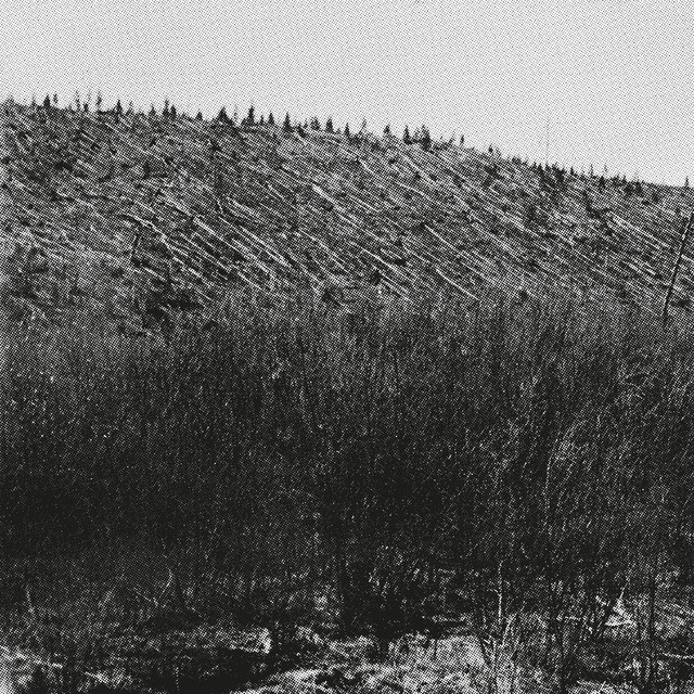 Lärm album cover
