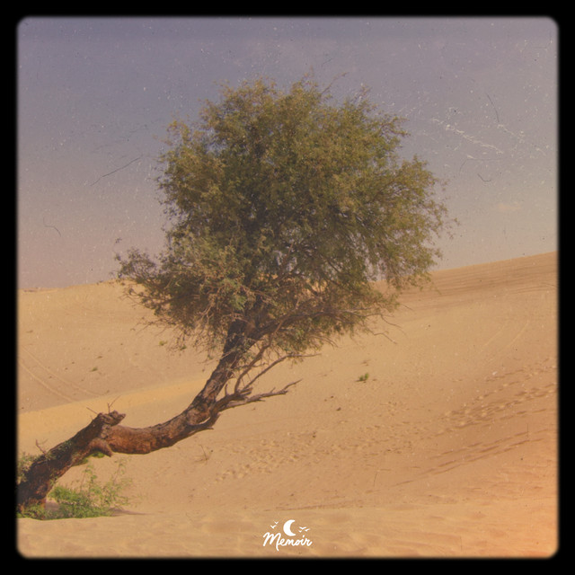 A Journey Home album cover