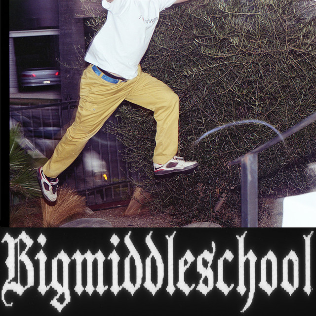Bigmiddleschool album cover