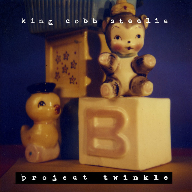 Project Twinkle album cover