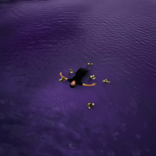 Violets From Lily album cover