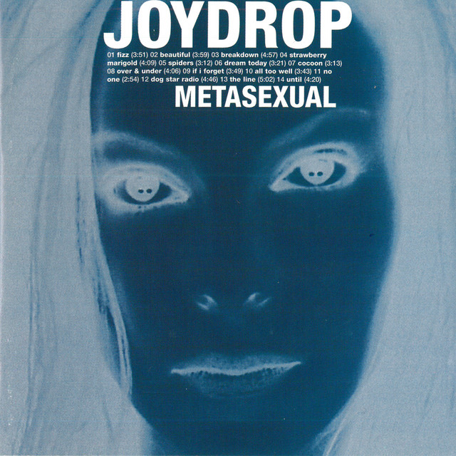 Metasexual album cover