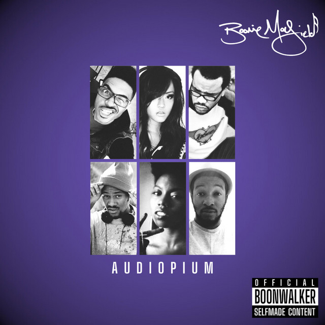 Audiopium album cover