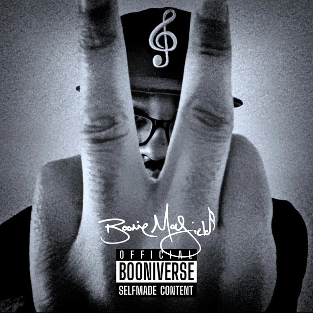 Vaughn Solo II: The Final Level album cover