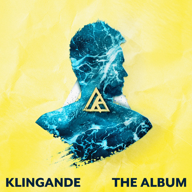 The Album album cover